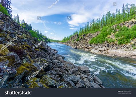 Mountain Forest Wild River Landscape Stock Photo 602032859