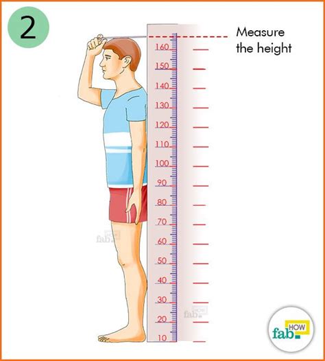 Ways To Measure Your Height By Yourself Pedalaman Riset