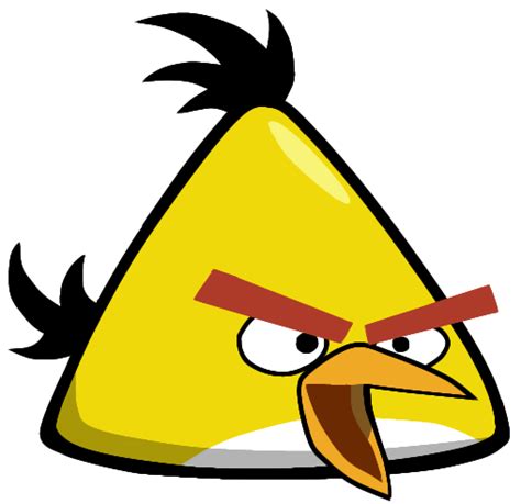 Image Chuck Squawkpng Angry Birds Wiki Wikia