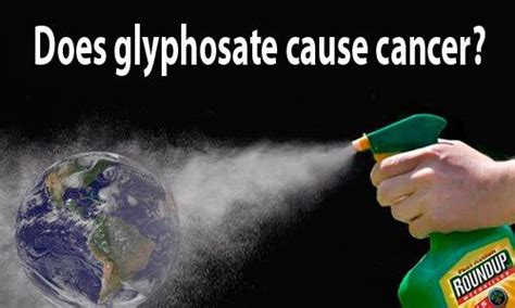 Does Glyphosate Cause Cancer EcoWatch