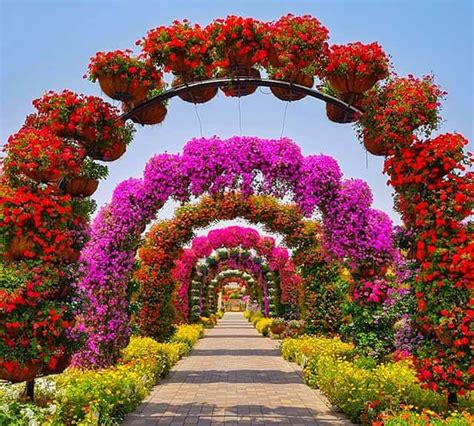 Dubai Miracle Garden Wallpaper