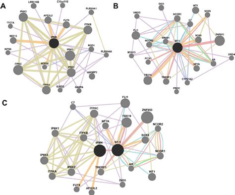Biological Networks Are Highly Interconnected Network Interaction Maps