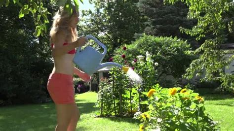 Hot Garden Worker Woman In Shorts And Bra Watering Sun Flowers With