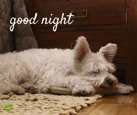 Good Night Good Night Wishes Good Night Moon Good Night Sweet Dreams