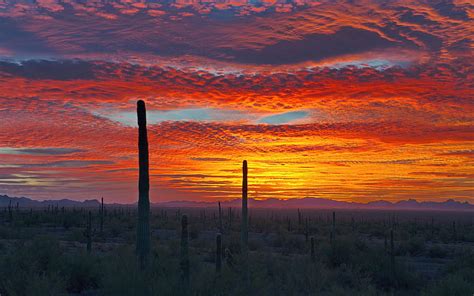 1920x1080px 1080p Free Download Sunset In The Sonoran Desert Of