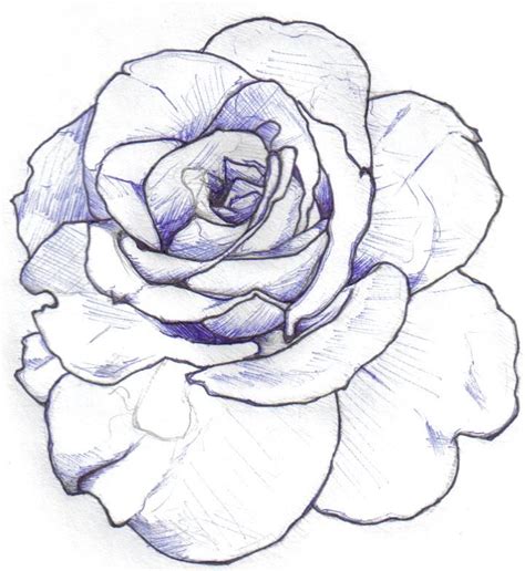 Tattoos realistic rose tattoo rose drawings rose outline drawing. Free Rose Drawing Outline, Download Free Clip Art, Free Clip Art on Clipart Library