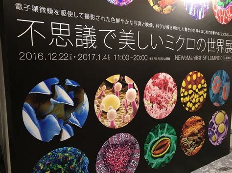 Exhibition Panel In Japan Featuring Various Sem Images From Science