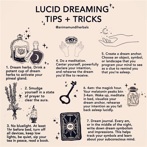 the ultimate guide to lucid dreaming in 2020 lucid dreaming tips lucid dreaming dream spell