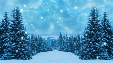 Christmas Winter Backgrounds 51 Pictures