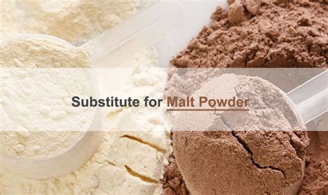 Top 15 Malt Powder Substitutes Diastatic And Non Diastatic