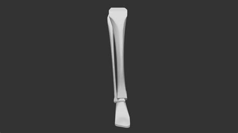 Bammes Lower Leg Bones 3d Model By Matt Matustuff Ed204c0