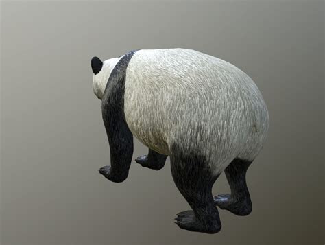 3d Model Panda Lowpoly Vr Ar Low Poly Rigged Animated Cgtrader