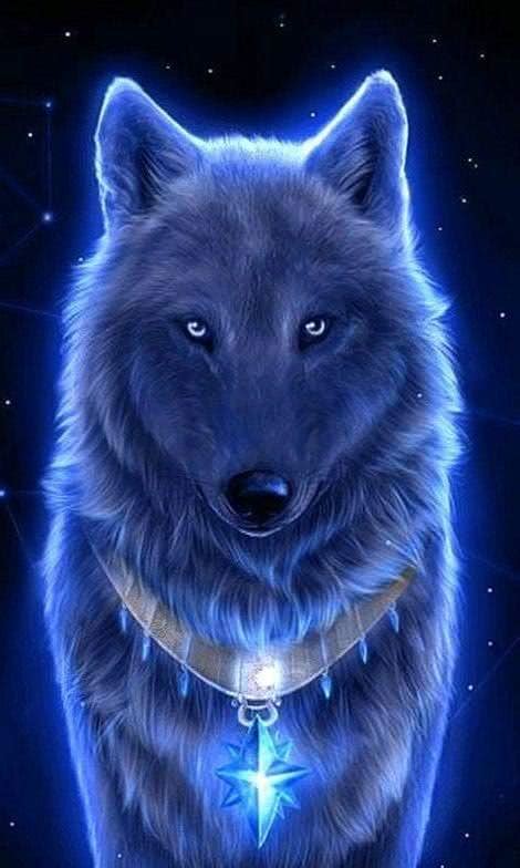 Live Wolf Wallpapers Wolf Background Images