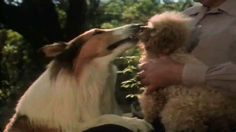 The Magic Of Lassie 1978 Filmfed
