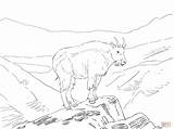 Goat Mountain Coloring America Skip Main Printable Drawing sketch template