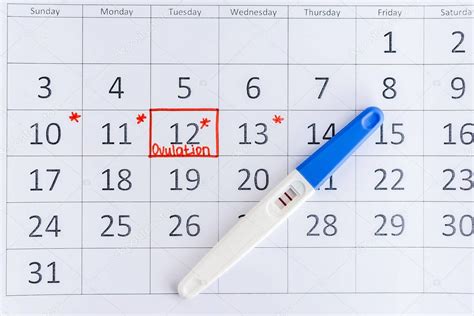Prueba de embarazo positiva con fecha de ciclo en calendario Planificación del embarazo