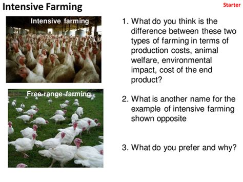 Intensive Vs Organic Farming Teaching Resources