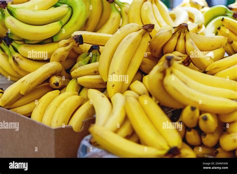 Bananas In Boxes Sold In Supermarket Stock Photo Alamy