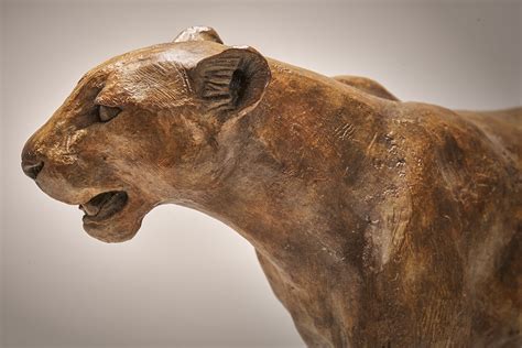 Bronze Leopard Sculpture £6500 Nick Mackman Animal Sculpture