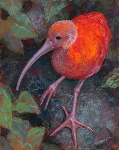 Dpw Fine Art Friendly Auctions I Is For Ibis By Rita Kirkman