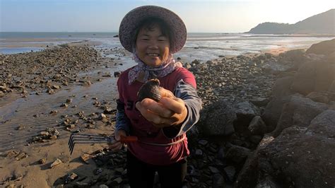 泰婶趁晚潮去海边挖花蛤，还有各种海螺捡了一大盘，晚上全给煮了吃 Youtube