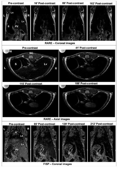 Mri Images Coronal And Axial Rare And Coronal Fisp Of The Mouse Body