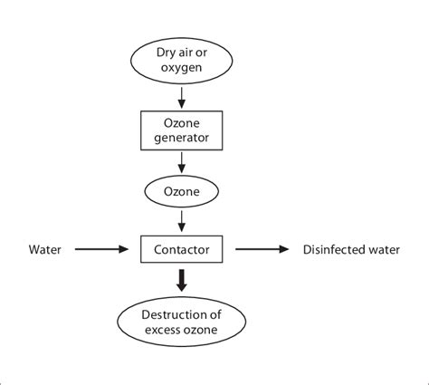 Basic Diagram Of The Ozonation Process Adapted From Solsona 22