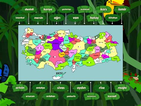 türkiye haritası Etiketli diyagram