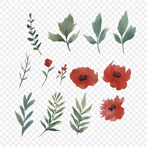 Watercolor Flower Collection Vector Design Images Watercolor Red