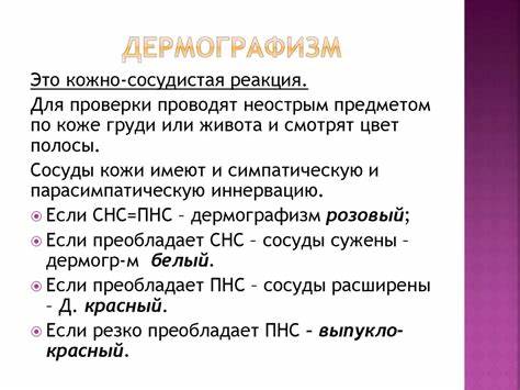 Красный дермографизм диета