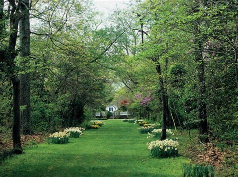 Chesapeake is near so many universities, eastern north carolina's outer banks, colonial williamsburg if you have any questions around chesapeake not given here, you're welcome to ask. 24 best images about Garden. Chesapeake Bay on Pinterest ...