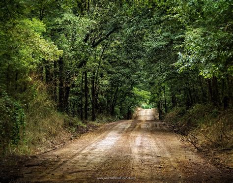 Country Road Photograph Woodland Dirt Road Landscape In Color Etsy