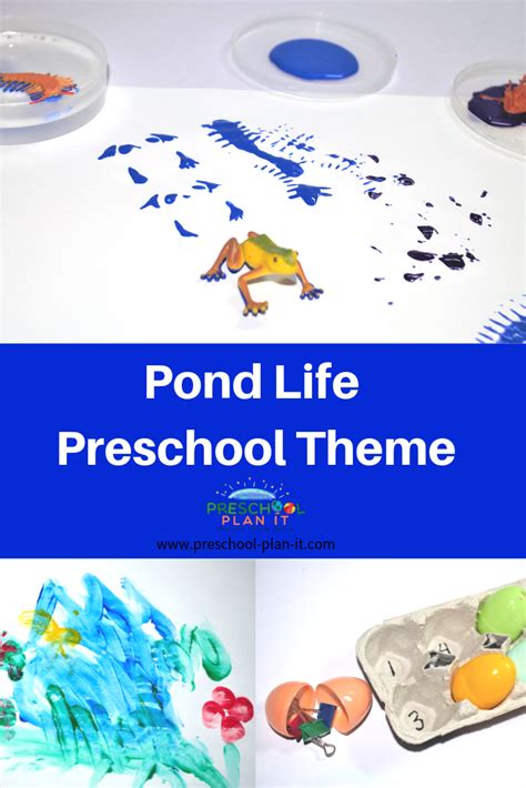 Pond Life Theme For Preschool
