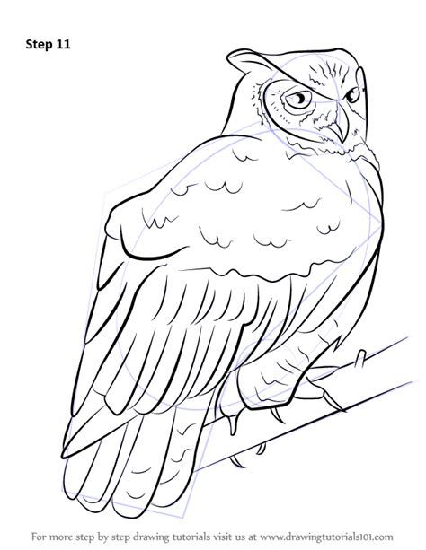 How To Draw A Great Horned Owl Owls Step By Step