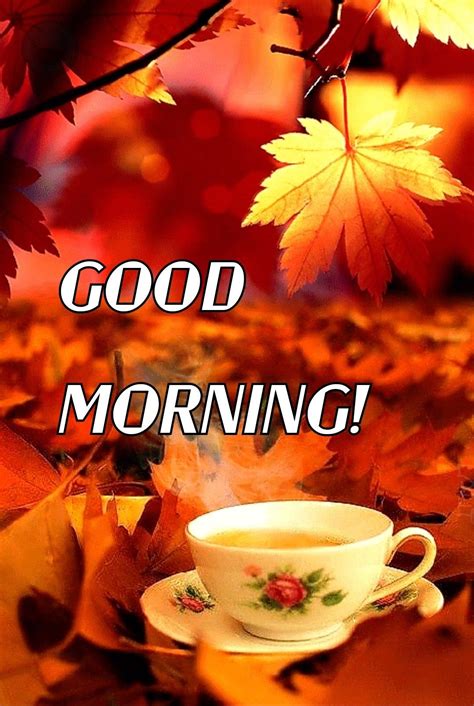 Fall Good Morning Greetings 🙏 Good Morning Happy Saturday Good