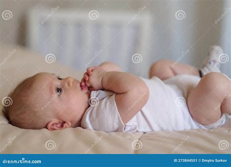 Three Month Baby Boy In Bed Stock Image Image Of Cheerful Cosy