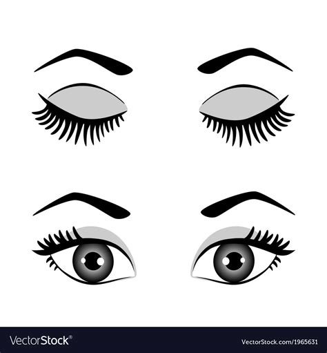 Silhouette Of Eyes And Eyebrow Open And Closed Vector Image