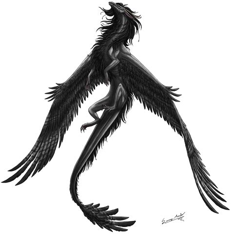 Feathered Mist By Sunima On Deviantart Dragon Artwork Feathered