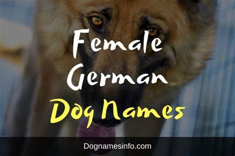 German Female Names Telegraph