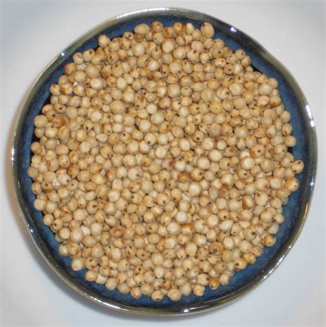 Organic Grain Sorghum Milo Cereal Garden Grains Crop ½ Oz 550 Seeds
