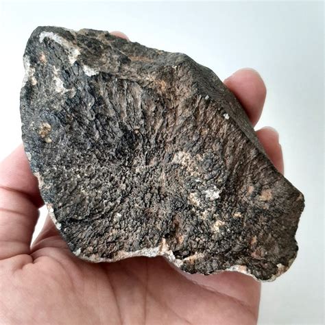 Meteorito Eucrita Con Líneas De Flujo Roca Del Asteroide Catawiki