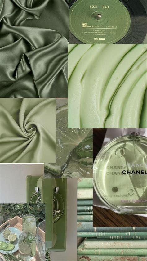 Sage Green Aesthetic Wallpaper Green Aesthetic Green Aesthetic