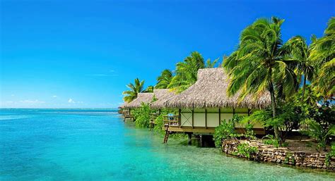 Tropical Rest Palms Sea Tropics Paradise Beautiful Relax Beach