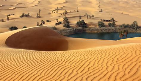 1920x1080px 1080p Free Download Oasis Water Desert Trees Hd