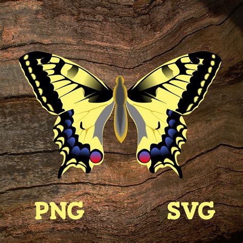 Swallowtail Butterfly Papilio Machaon Svg And Png 300 Dpi Etsy
