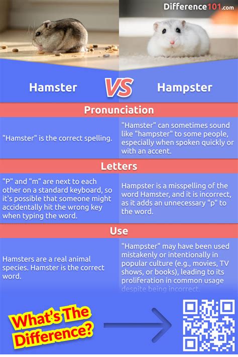 Hamster Vs Hampster 3 Key Differences Pros And Cons Similarities