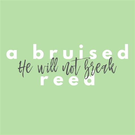 A Bruised Reed He Will Not Break