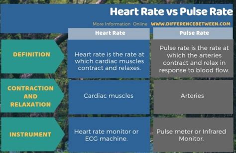 What Is The Difference Between Heart Rate And Pulse Rate Unraveling