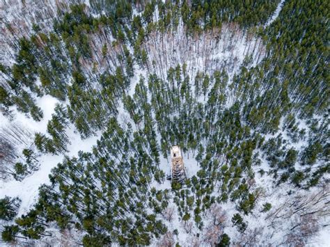 Winter Forest From Above Drone Aerial Image Of Winter Trees Stock