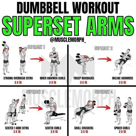 What Is The Best Arm Workout For Beginners Who Want To Add Size Quora